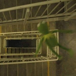 Meet your Posher, Arnetta